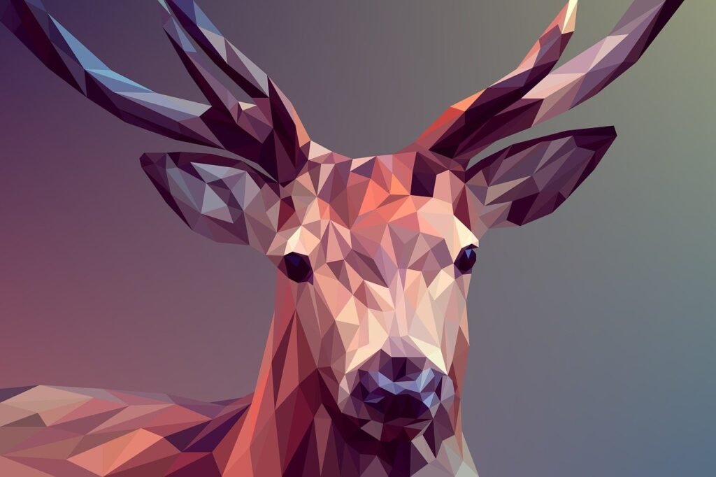 graphic and brand design